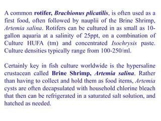 A common rotifer, Brachionus plicatilis, is often used as a
first food, often followed by nauplii of the Brine Shrimp,
Artemia salina. Rotifers can be cultured in as small as 10-
gallon aquaria at a salinity of 25ppt, on a combination of
Culture HUFA (tm) and concentrated Isochrysis paste.
Culture densities typically range from 100-250/ml.
Certainly key in fish culture worldwide is the hypersaline
crustacean called Brine Shrimp, Artemia salina. Rather
than having to collect and hold them as food items, Artemia
cysts are often decapsulated with household chlorine bleach
that then can be refrigerated in a saturated salt solution, and
hatched as needed.
 