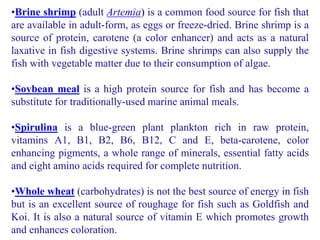 •Brine shrimp (adult Artemia) is a common food source for fish that
are available in adult-form, as eggs or freeze-dried. Brine shrimp is a
source of protein, carotene (a color enhancer) and acts as a natural
laxative in fish digestive systems. Brine shrimps can also supply the
fish with vegetable matter due to their consumption of algae.
•Soybean meal is a high protein source for fish and has become a
substitute for traditionally-used marine animal meals.
•Spirulina is a blue-green plant plankton rich in raw protein,
vitamins A1, B1, B2, B6, B12, C and E, beta-carotene, color
enhancing pigments, a whole range of minerals, essential fatty acids
and eight amino acids required for complete nutrition.
•Whole wheat (carbohydrates) is not the best source of energy in fish
but is an excellent source of roughage for fish such as Goldfish and
Koi. It is also a natural source of vitamin E which promotes growth
and enhances coloration.
 