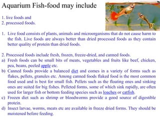 Aquarium Fish-food may include
1. live foods and
2. processed foods.
1. Live food consists of plants, animals and microorganisms that do not cause harm to
the fish. Live foods are always better than dried processed foods as they contain
better quality of protein than dried foods.
2. Processed foods include fresh, frozen, freeze-dried, and canned foods.
a) Fresh foods can be small bits of meats, vegetables and fruits like beef, chicken,
pea, beans, peeled apple etc.
b) Canned foods provide a balanced diet and comes in a variety of forms such as
flakes, pellets, granules etc. Among canned foods flaked food is the most common
food used and is best for small fish. Pellets such as the floating ones and sinking
ones are suited for big fishes. Pelleted forms, some of which sink rapidly, are often
used for larger fish or bottom feeding species such as loaches or catfish.
c) Frozen diet such as shrimp or bloodworms provide a good source of digestible
protein.
d) Insect larvae, worms, meats etc are available in freeze dried forms. They should be
moistened before feeding.
 
