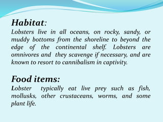 Food and feeding habit of shellfishes | PPTX