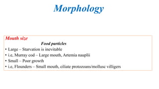 Food and feeding habits of larvae of finfishes ppt | PPTX