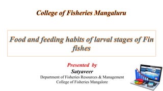 Food And Feeding Habits Of Larvae Of Finfishes Ppt
