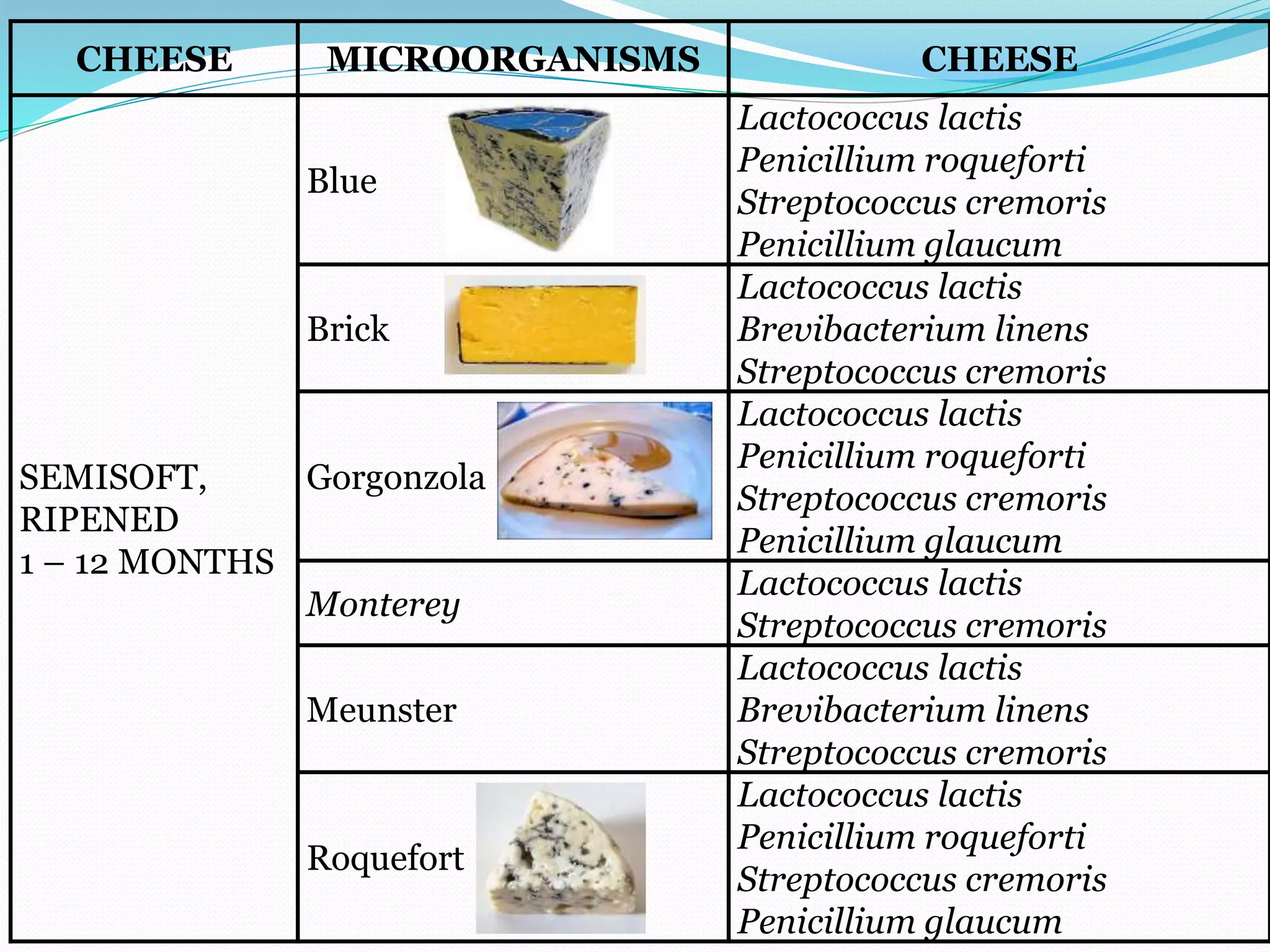 Food and fermented products | PPTX