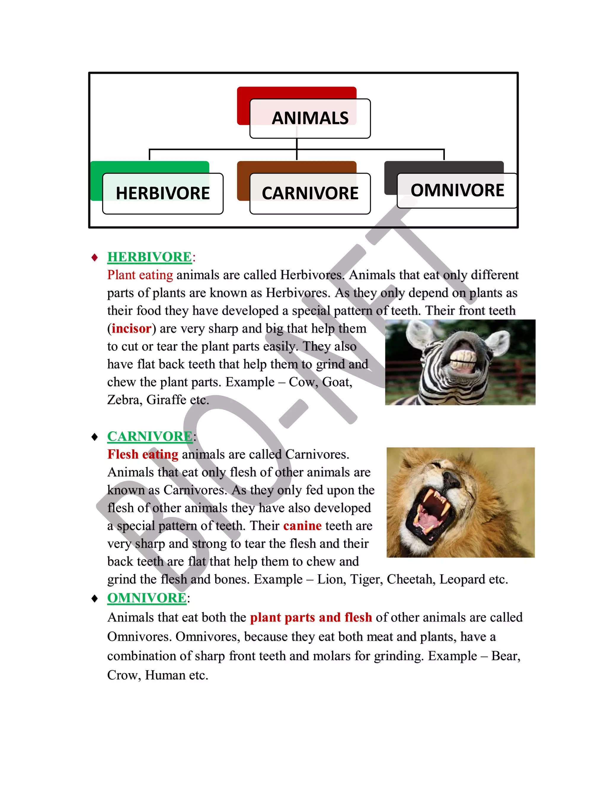 food-and-it-s-sources-pdf