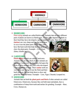 FOOD AND IT'S SOURCES.pdf