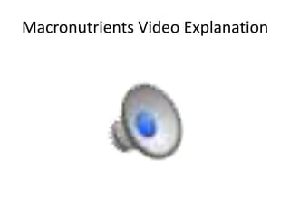 Macronutrients Video Explanation
 