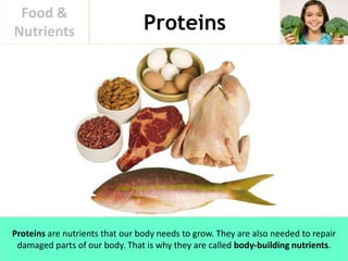 Food And Nutrients | PPTX