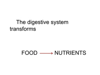 The digestive system
transforms
FOOD NUTRIENTS
 