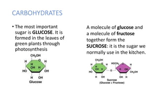 Food and nutrients | PPTX