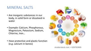 Food and nutrients | PPTX