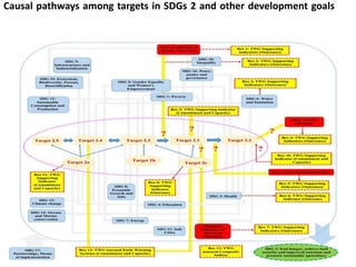 Causal pathways among targets in SDGs 2 and other development goals
 