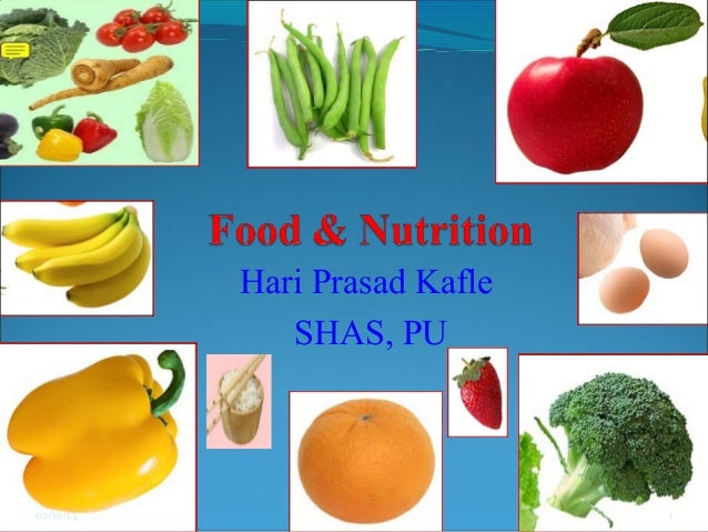 Food And Nutrition General Concept