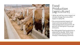 Food and the environment | PPTX