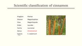 Spice as medicine: cinnamon | PPT