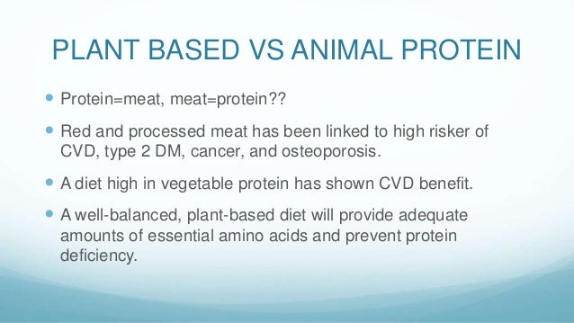 2 Benefits Of Eating Plant Based Proteins Diets