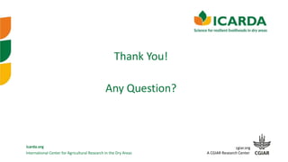 International Center for Agricultural Research in the Dry Areas
icarda.org cgiar.org
A CGIAR Research Center
Thank You!
Any Question?
 