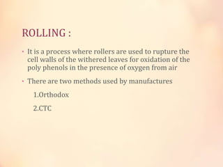 ROLLING :
• It is a process where rollers are used to rupture the

cell walls of the withered leaves for oxidation of the
poly phenols in the presence of oxygen from air

• There are two methods used by manufactures

1.Orthodox
2.CTC

 