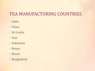 TEA MANUFACTURING COUNTRIES
• India

• China
• Sri Lanka
• Iran

• Indonesia
• Kenya
• Brazil

• Bangladesh

 