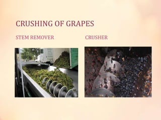 CRUSHING OF GRAPES
STEM REMOVER

CRUSHER

 