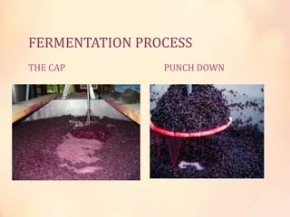 FERMENTATION PROCESS
THE CAP

PUNCH DOWN

 
