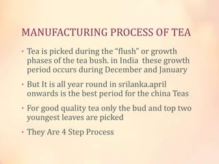 MANUFACTURING PROCESS OF TEA
• Tea is picked during the “flush” or growth

phases of the tea bush. in India these growth
period occurs during December and January

• But It is all year round in srilanka.april

onwards is the best period for the china Teas

• For good quality tea only the bud and top two

youngest leaves are picked

• They Are 4 Step Process

 