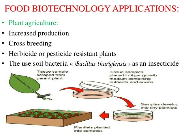 What Is Food Biotechnology | Bilateral Education
