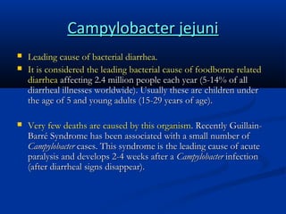 Campylobacter jejuni





Leading cause of bacterial diarrhea.
It is considered the leading bacterial cause of foodborne related
diarrhea affecting 2.4 million people each year (5-14% of all
diarrheal illnesses worldwide). Usually these are children under
the age of 5 and young adults (15-29 years of age).
Very few deaths are caused by this organism. Recently GuillainBarré Syndrome has been associated with a small number of
Campylobacter cases. This syndrome is the leading cause of acute
paralysis and develops 2-4 weeks after a Campylobacter infection
(after diarrheal signs disappear).

 