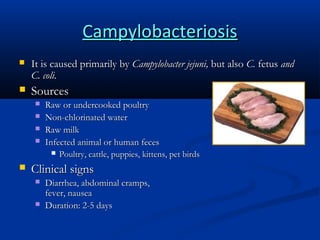Campylobacteriosis


It is caused primarily by Campylobacter jejuni, but also C. fetus and
C. coli.



Sources







Raw or undercooked poultry
Non-chlorinated water
Raw milk
Infected animal or human feces
 Poultry, cattle, puppies, kittens, pet birds

Clinical signs



Diarrhea, abdominal cramps,
fever, nausea
Duration: 2-5 days

 