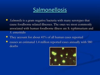 Salmonellosis





Salmonella is a gram negative bacteria with many serotypes that
cause foodborne related illnesses. The ones we most commonly
associated with human foodborne illness are S. typhimurium and
S. enteritidis
They account for about 41% of all human cases reported
causes an estimated 1.4 million reported cases annually with 580
deaths

 