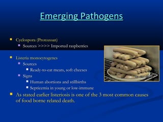 Emerging Pathogens


Cyclospora (Protozoan)
 Sources >>>> Imported raspberries



Listeria monocytogenes
 Sources
 Ready-to-eat meats, soft cheeses
 Signs
 Human abortions and stillbirths
 Septicemia in young or low-immune



As stated earlier listeriosis is one of the 3 most common causes
of food borne related death.

 