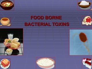 FOOD BORNE
BACTERIAL TOXINS
 