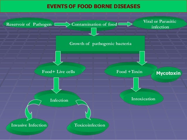 food borne bacterial toxins pathogenic bacteria in food