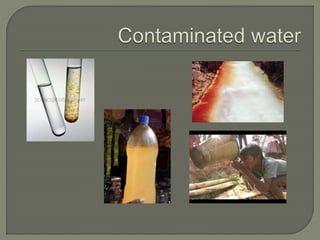 Purify water before consuming
 