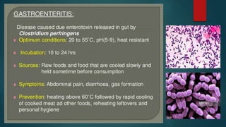 FOOD BORNE DISEASES (PPT).pptx