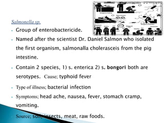 Salmonella sp.
⦁ Group of enterobactericide.
⦁ Named after the scientist Dr. Daniel Salmon who isolated
the first organism, salmonalla cholerasceis from the pig
intestine.
⦁ Contain 2 species, 1) s. enterica 2) s. bongori both are
serotypes. Cause; typhoid fever
⦁ Type of illness; bacterial infection
⦁ Symptoms; head ache, nausea, fever, stomach cramp,
vomiting.
⦁ Source; soil, insects, meat, raw foods.
 