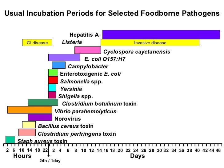 Foodborne Illnesses Wong 2007 July