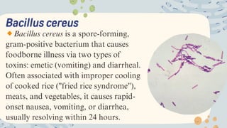 FOOD BORNE INFECTIONS (BACILLUS, SALMONELLA, SHIGELLA,LISTERIA ...
