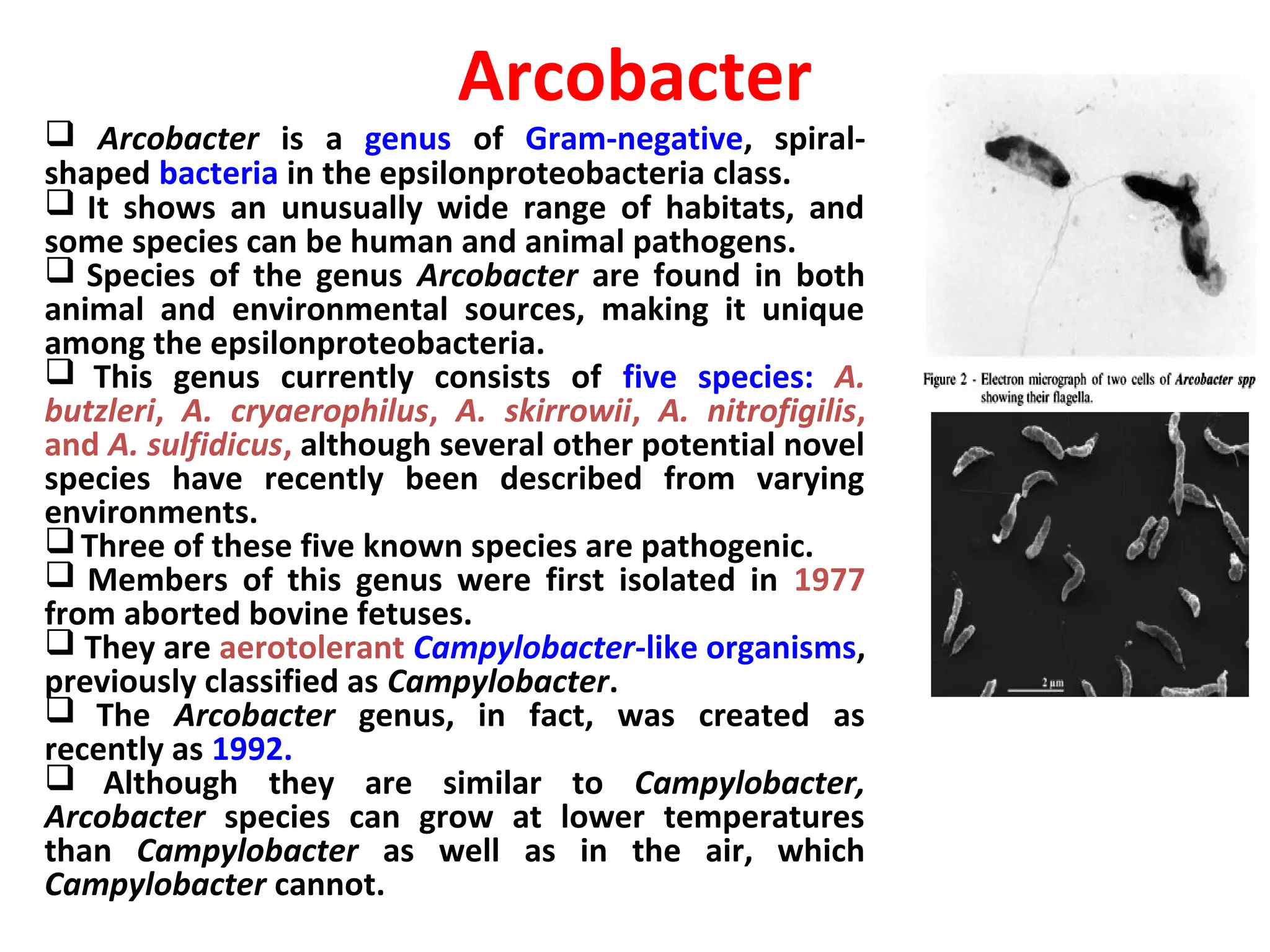 Foodborne Infections and Intoxications | PPT