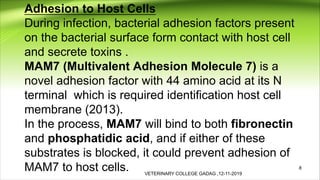 Adhesion Examples Infection Food born infection by vibrio parahaemolyticus | PDF