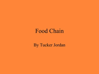 Food Chain By Tucker Jordan 