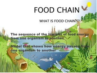 FOOD CHAIN WHAT IS FOOD CHAIN??? The sequence of the transfer of food energy from one organism to another.Model that shows how energy passes from one organism to another 