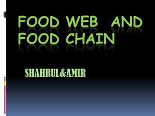 FOOD WEB AND
FOOD CHAIN
SHAHRUL&AMIR
 
