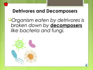 17 
Detrivores and Decomposers 
Organism eaten by detrivores is 
broken down by decomposers 
like bacteria and fungi. 
 