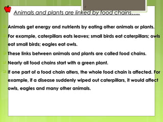 7 
Animals and plants aarree lliinnkkeedd bbyy ffoooodd cchhaaiinnss…….... 
 AAnniimmaallss ggeett eenneerrggyy aanndd nnuuttrriieennttss bbyy eeaattiinngg ootthheerr aanniimmaallss oorr ppllaannttss.. 
 FFoorr eexxaammppllee,, ccaatteerrppiillllaarrss eeaattss lleeaavveess;; ssmmaallll bbiirrddss eeaatt ccaatteerrppiillllaarrss;; oowwllss 
eeaatt ssmmaallll bbiirrddss;; eeaagglleess eeaatt oowwllss.. 
 TThheessee lliinnkkss bbeettwweeeenn aanniimmaallss aanndd ppllaannttss aarree ccaalllleedd ffoooodd cchhaaiinnss.. 
 NNeeaarrllyy aallll ffoooodd cchhaaiinnss ssttaarrtt wwiitthh aa ggrreeeenn ppllaanntt.. 
 IIff oonnee ppaarrtt ooff aa ffoooodd cchhaaiinn aalltteerrss,, tthhee wwhhoollee ffoooodd cchhaaiinn iiss aaffffeecctteedd.. FFoorr 
eexxaammppllee,, iiff aa ddiisseeaassee ssuuddddeennllyy wwiippeedd oouutt ccaatteerrppiillllaarrss,, iitt wwoouulldd aaffffeecctt 
oowwllss,, eeaagglleess aanndd mmaannyy ootthheerr aanniimmaallss.. 
 
