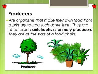 9 
Producers 
Are organisms that make their own food from 
a primary source such as sunlight. They are 
often called autotrophs or primary producers. 
They are at the start of a food chain. 
PPrroodduucceerr 
 