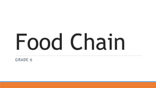 Food Chain
GRADE 6
 