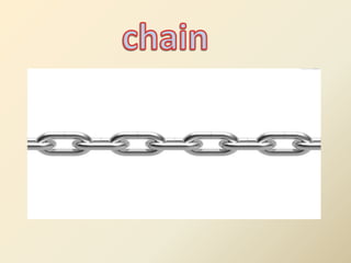 Food chain | PPTX