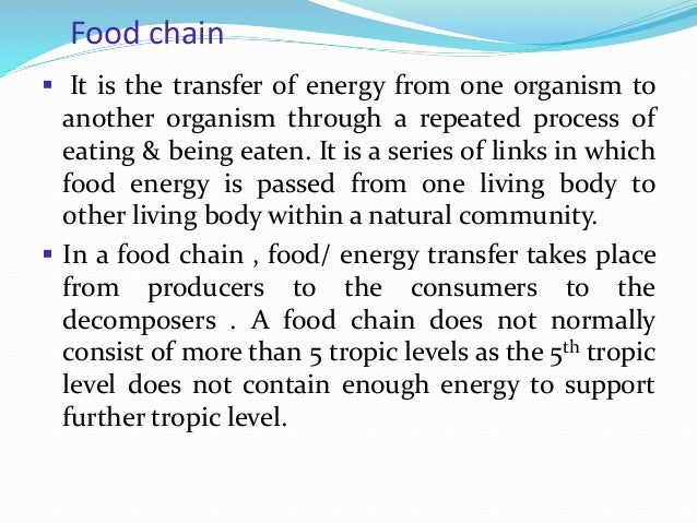Food Chain Environmental Science