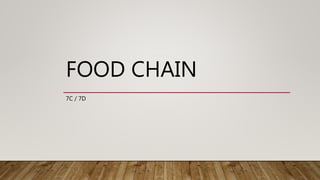 Food chain | PPTX