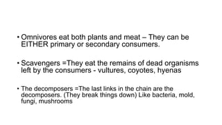 • Omnivores eat both plants and meat – They can be
EITHER primary or secondary consumers.
• Scavengers =They eat the remains of dead organisms
left by the consumers - vultures, coyotes, hyenas
• The decomposers =The last links in the chain are the
decomposers. (They break things down) Like bacteria, mold,
fungi, mushrooms
 